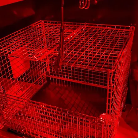 Deauville Bonny And Clyde