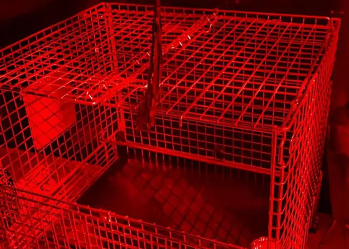 Deauville Bonny And Clyde